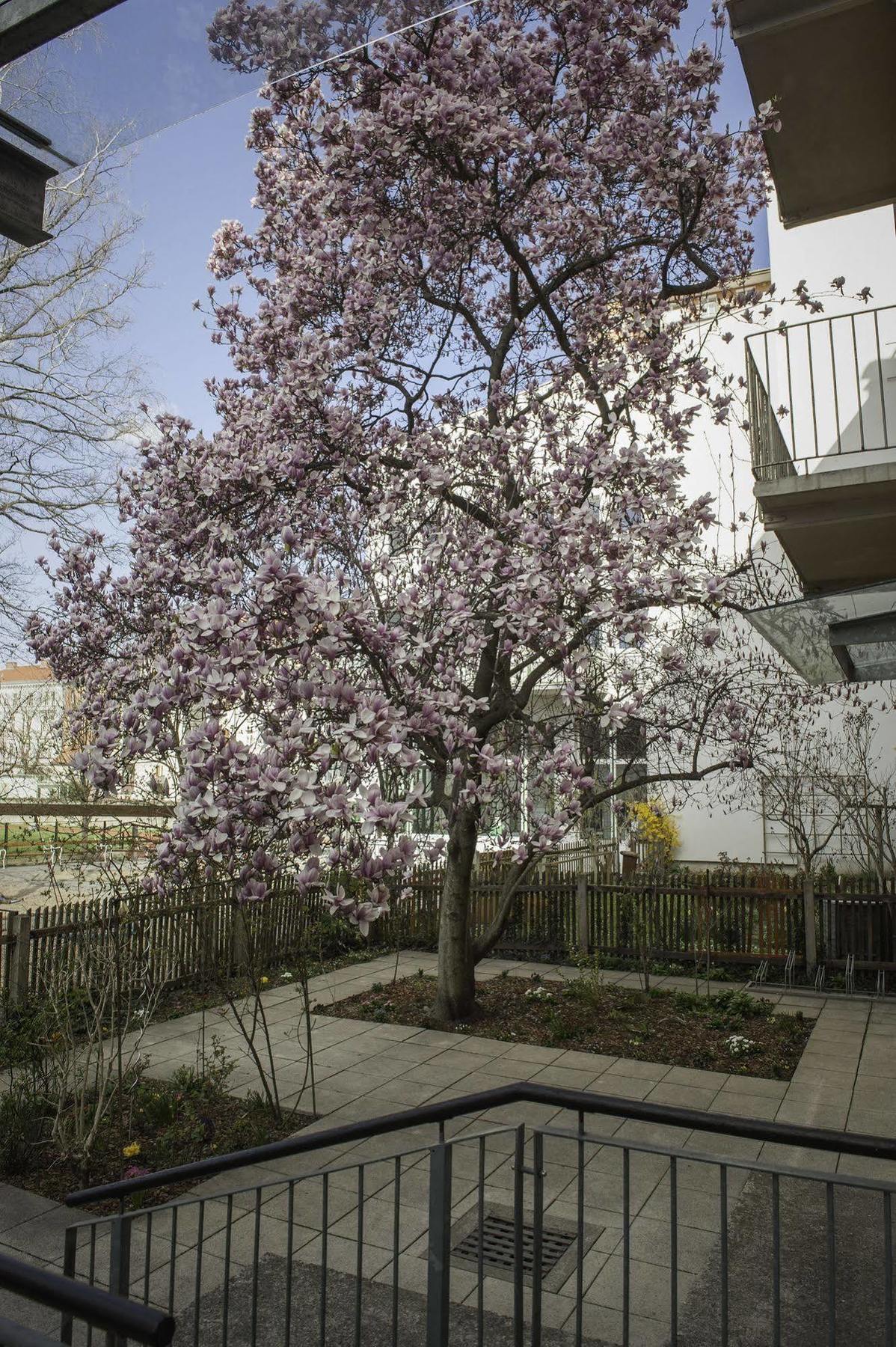 Haus Mobene - Hotel Garni Graz Exterior photo